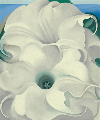Georgia O’Keeffe, Bella Donna, 1939. Georgia O’Keeffe Museum, Santa Fe (extended loan, private collection), Image: Georgia O'Keeffe Museum, Santa Fe / Art Resource, NY, Artwork: © 2021 Georgia O'Keeffe Museum / Artists Rights Society (ARS), New York